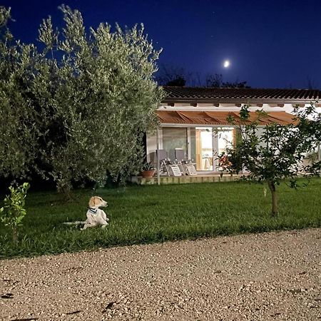 Villetta Bianca Pisticci-Matera 外观 照片