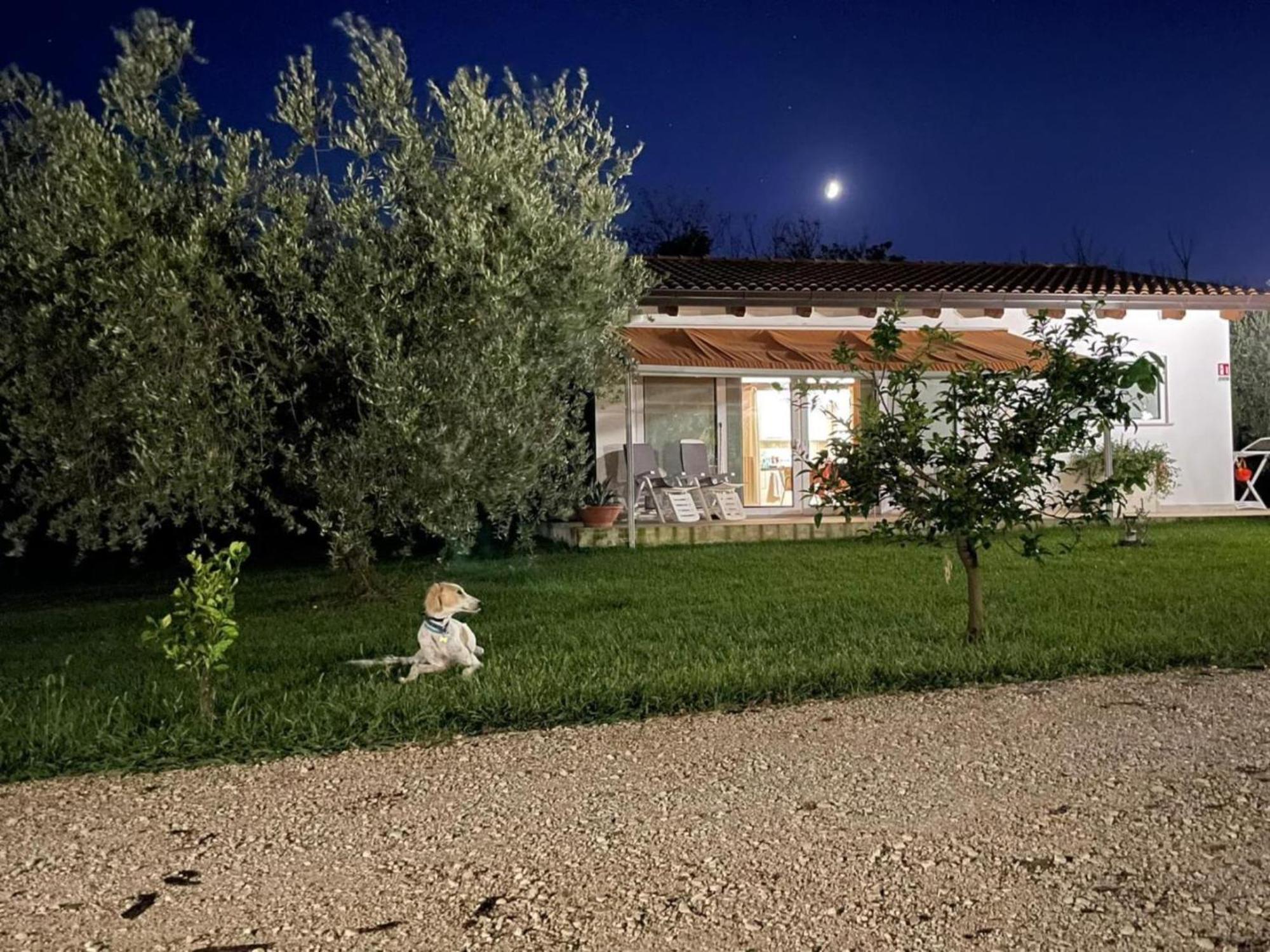 Villetta Bianca Pisticci-Matera 外观 照片